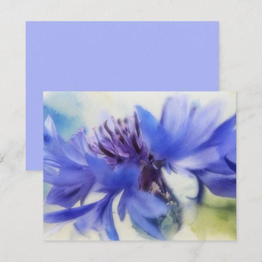 Blue Cornflower Bachelors Button Note Card Set ノートカード (正面/裏面)