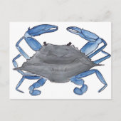 Blue Crab Postcard ポストカード (正面)