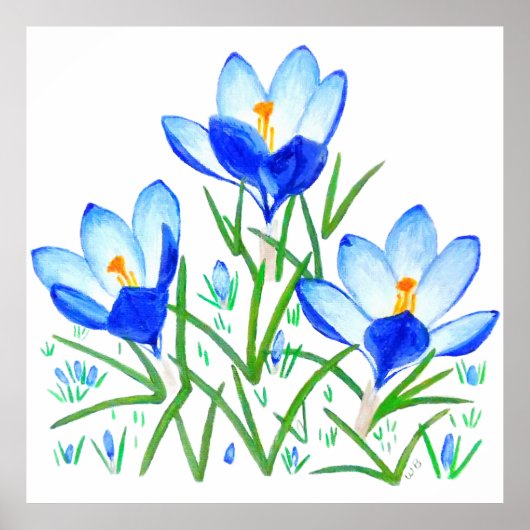 Blue Crocus Flowers Print ポスター (正面)