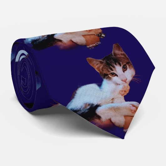 Blue Cute Cat Photo Pattern Neck Tie ネクタイ (ロール)