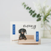 Blue Dachshund Dog in Boxはがき ポストカード (スタンド正面)