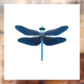 Blue Dragonfly - Insect Wildlife Animal Lover Ento ウィンドウサイン (シート2)