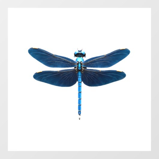 Blue Dragonfly - Insect Wildlife Animal Lover Ento ウィンドウサイン (シート)