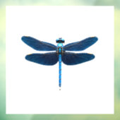 Blue Dragonfly - Insect Wildlife Animal Lover Ento ウィンドウサイン (シート3)