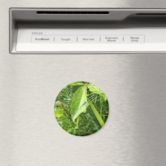 Blue Dragonfly Magnet マグネット (インサイチュ (食洗機))