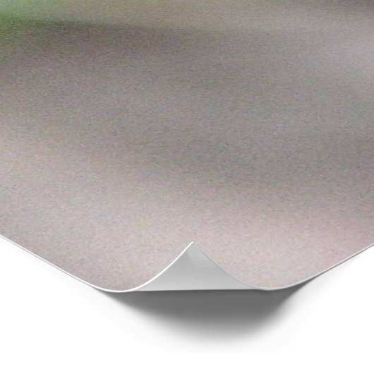 Blue Dragonfly on Perch ポスター (角)