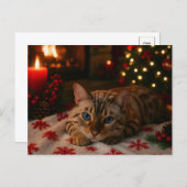 Blue-Eyed Christmas Cat Postcard Cozy Fireplace ポストカード (正面/裏面)