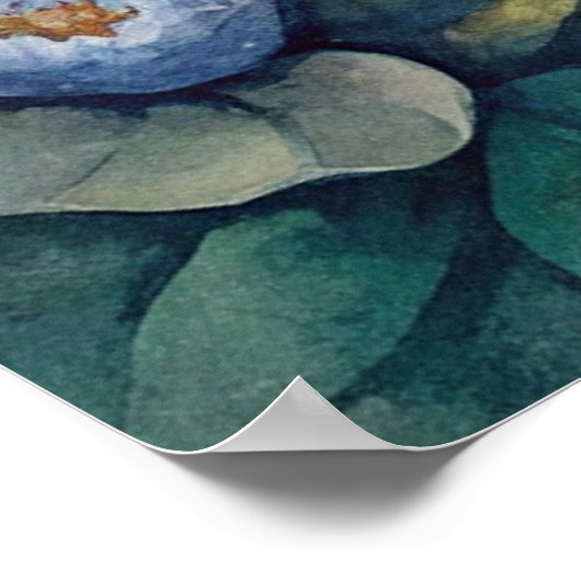 Blue Eyed kitten ポスター (角)