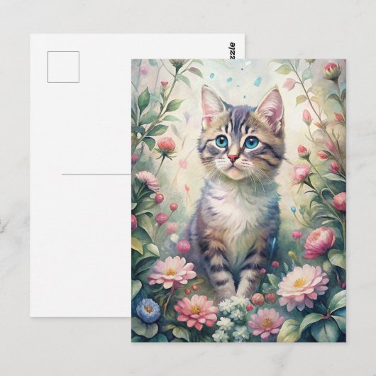 Blue Eyed kitten ポストカード (正面/裏面)