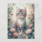 Blue Eyed kitten ポストカード (正面)