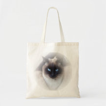 Blue eyes siamese cat