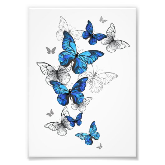 Blue Flying Butterflies Morpho フォトプリント (正面)