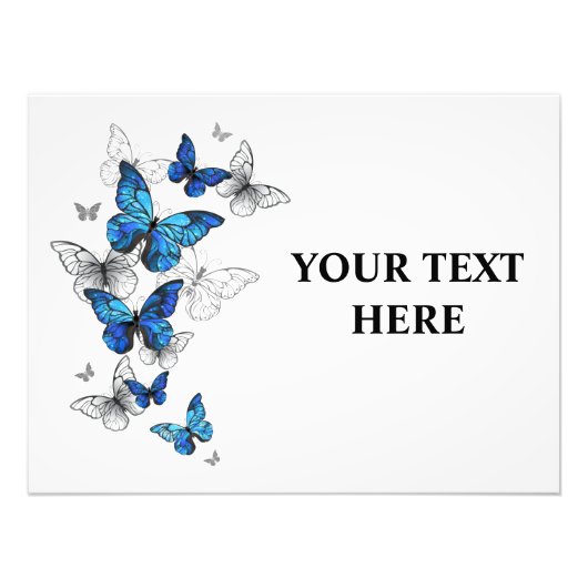 Blue Flying Butterflies Morpho フォトプリント (正面)