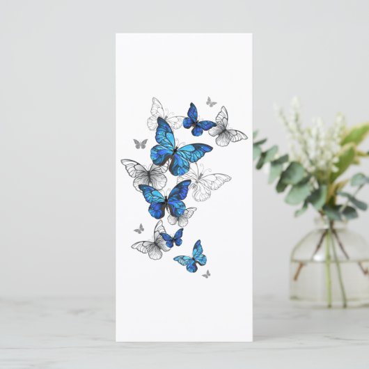 Blue Flying Butterflies Morpho メニュー (スタンド正面)
