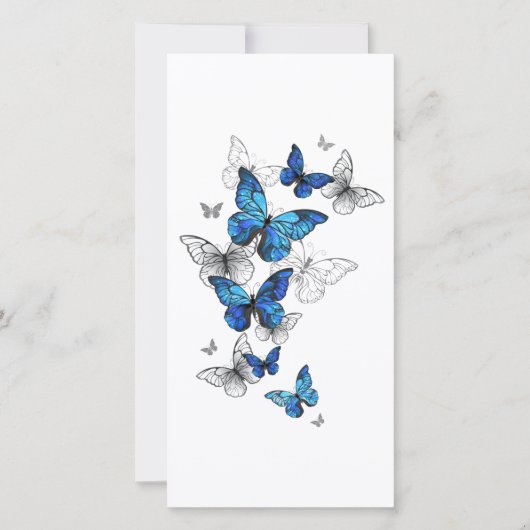 Blue Flying Butterflies Morpho 案内状 (正面)