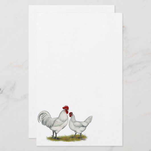 Blue Foot Chickens 便箋 (正面/裏面)