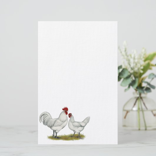 Blue Foot Chickens 便箋 (スタンド正面)