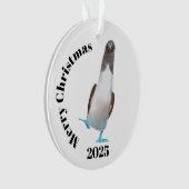 Blue-footed biddy オーナメント (正面)