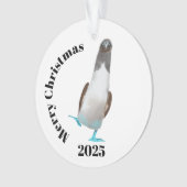 Blue-footed biddy オーナメント (正面)