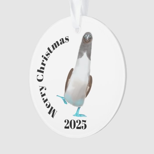 Blue-footed biddy オーナメント (正面)