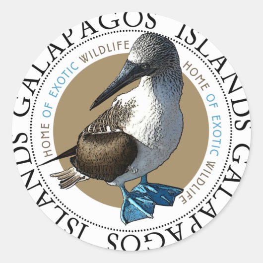 Blue Footed Boobyスタンプ ラウンドシール (正面)