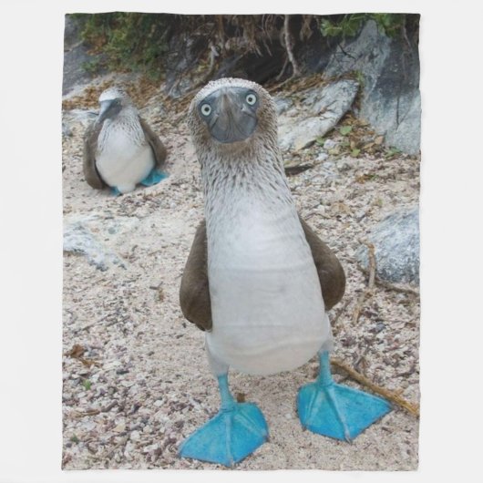 BLUE FOOTED BOOBY （正直、その名前） フリースブランケット (正面)
