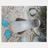 BLUE FOOTED BOOBY （正直、その名前） フリースブランケット (正面(横))