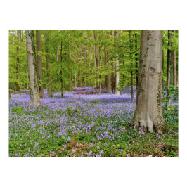 Blue forest with bluebell flowers ポスター