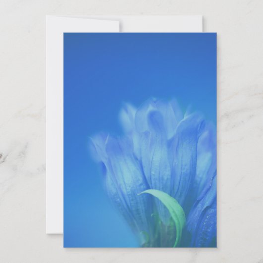 Blue Gentian Flower Bridal Shower  招待状 (裏面)