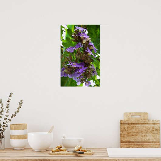 Blue Ginger ポスター (キッチン)