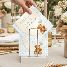 Blue Gingham Teddy Bear Baby Shower