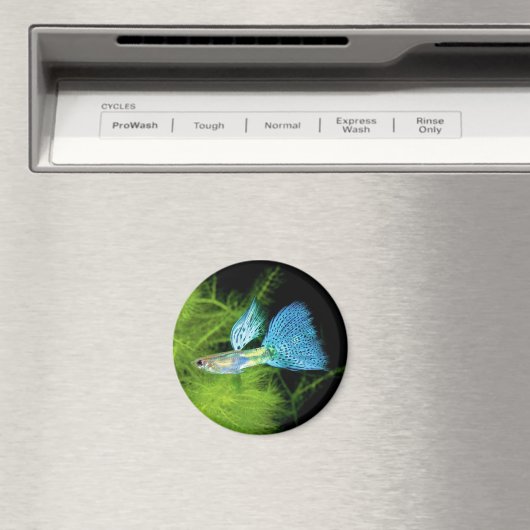 Blue Grass Guppy マグネット (インサイチュ (食洗機))