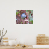 Blue-Gray Gnatcatcher Backyard Bird Poster ポスター (キッチン)