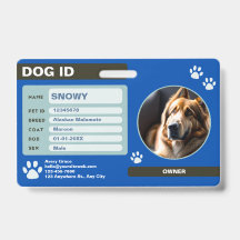 Blue Green Modern Dog ID Tag: Simple and Stylish