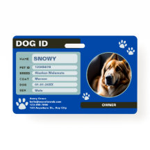 Blue Green Modern Dog ID Tag: Simple and Stylish
