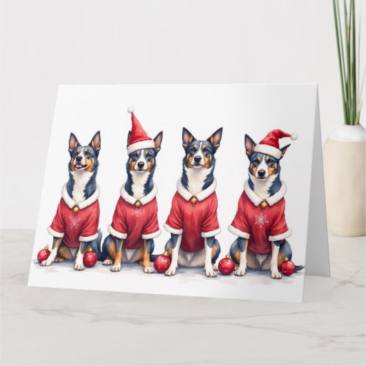 Blue Heeler Christmas Dress Santa Hat カード (正面)
