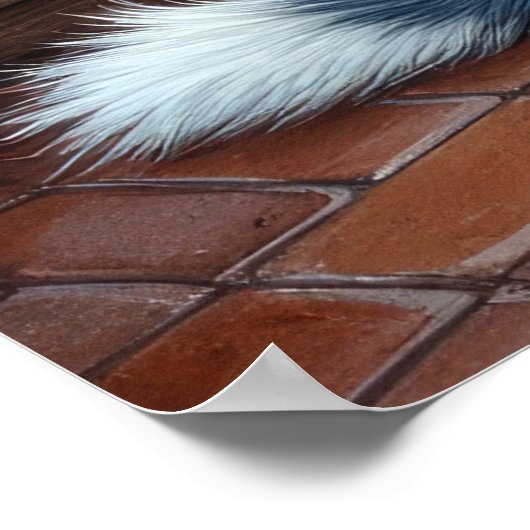 Blue Heeler Fireplace with Christmas Lights ポスター (角)