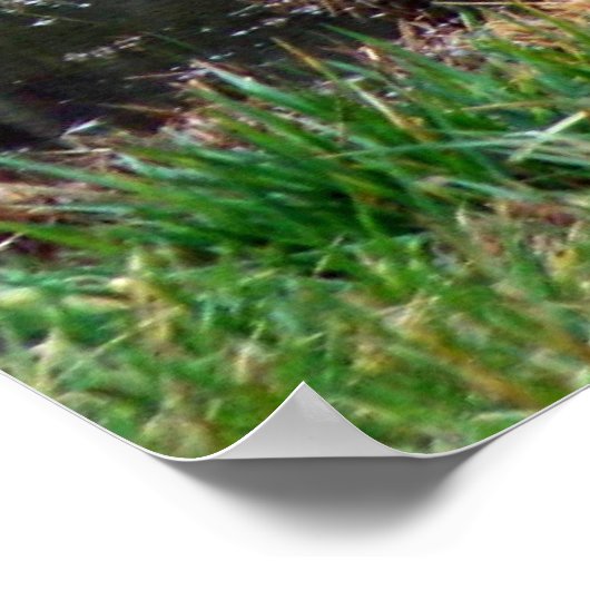 Blue Heron Reflection ポスター (角)