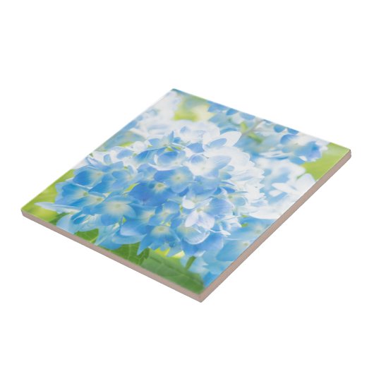 Blue Hydrangea タイル (側面)
