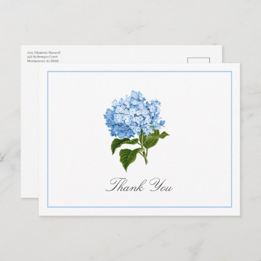 Blue Hydrangea Bloom Traditional Thank You ポストカード (正面/裏面)
