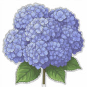 Blue Hydrangea Flower Cluster With Green Leaves シール (正面)