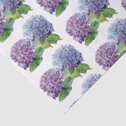Blue Hydrangeas 薄葉紙 (詳細)