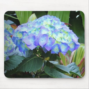 Blue Hydrangeas Flowersフローラ自然撮影 マウスパッド
