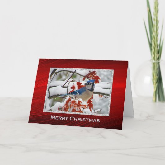 Blue Jayかわいらし Snow写真クリスマス シーズンカード (正面)