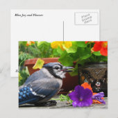 Blue JayとFlowers ポストカード (正面/裏面)