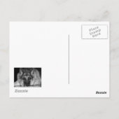 Blue Jayの写真 ポストカード (裏面)