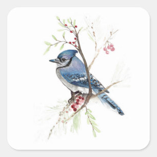 Blue Jayバードベリー四角ステッカー スクエアシール
