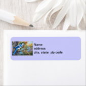 Blue Jay差出人住所ラベル ラベル (インサイチュ)