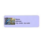 Blue Jay差出人住所ラベル ラベル (正面)