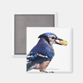 Blue-Jay – マグネット (正面/裏面)